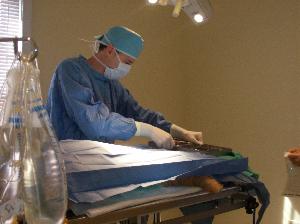 Patient drape being placed before dog spay at the Monroe Animal Hospital