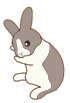 animated bunny