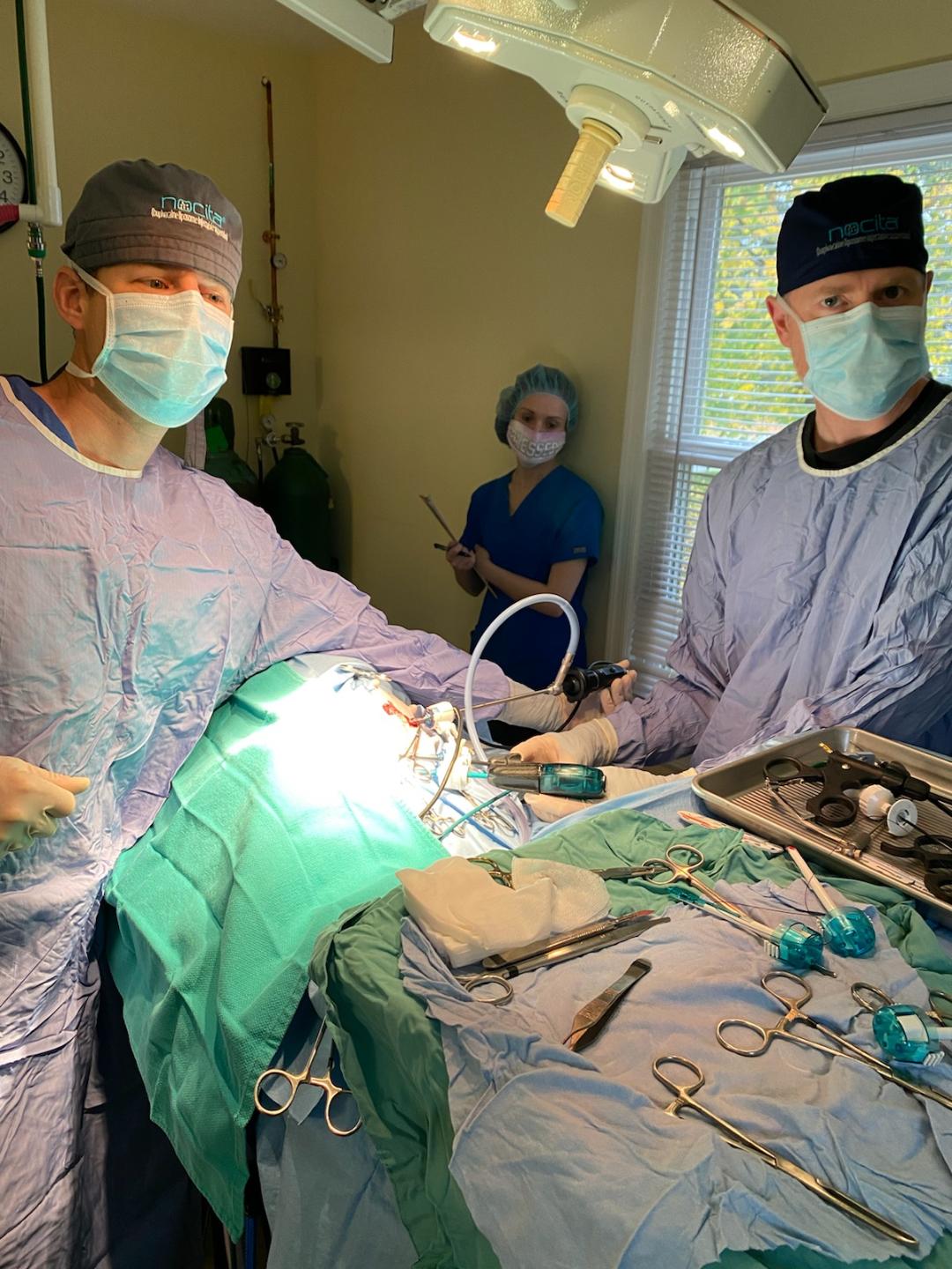 Laparoscopic Spay Surgery